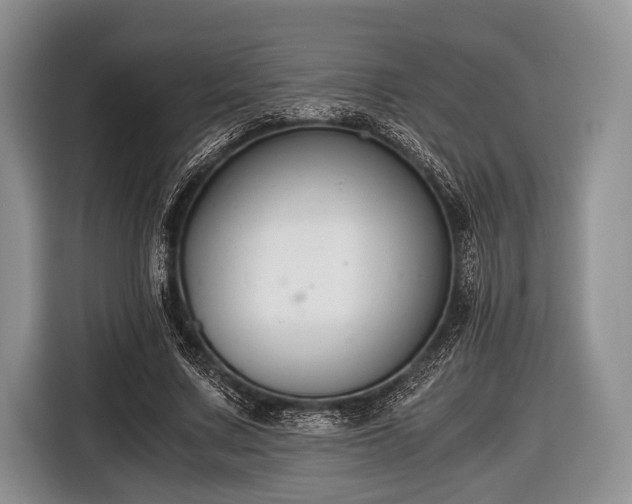 X0000116640683200912211003