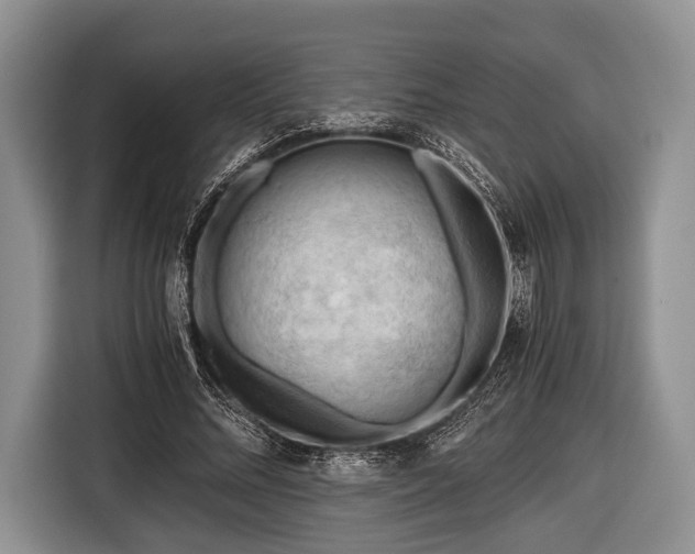 X0000116640684200912211003