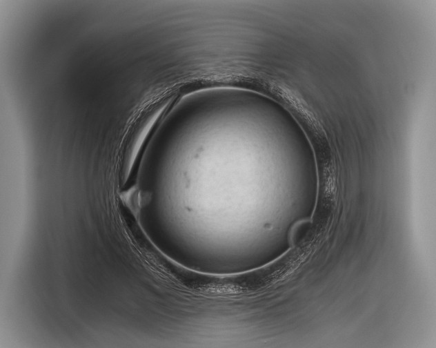 X0000116640685200912211003