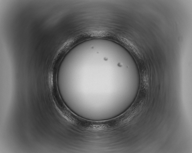 X0000116640686200912211003