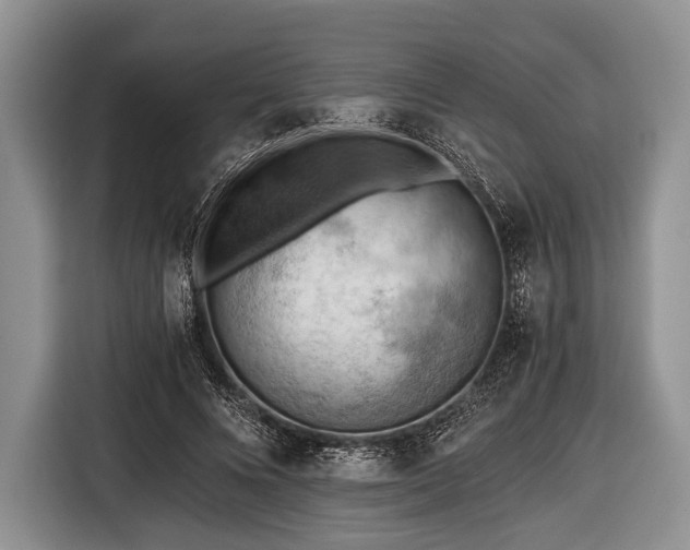 X0000116640688200912211003