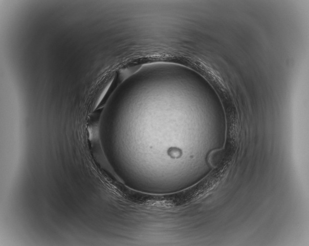 X0000116640689200912211003