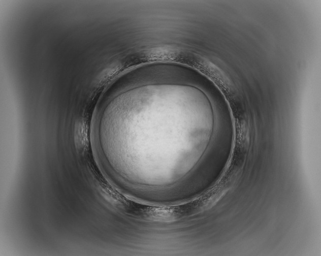 X0000116640692200912211003