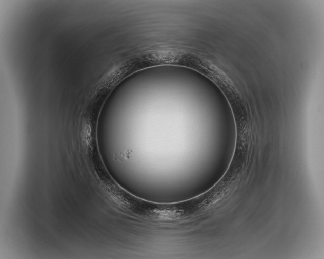 X0000116640693200912211003