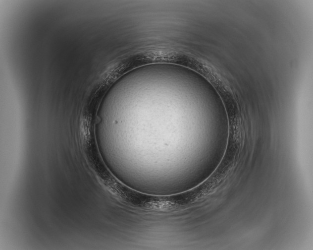 X0000116640695200912211003