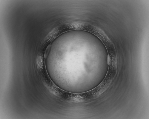 X0000116640696200912211003