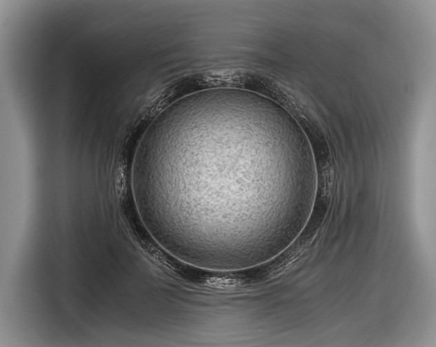 X0000116640699200912211003