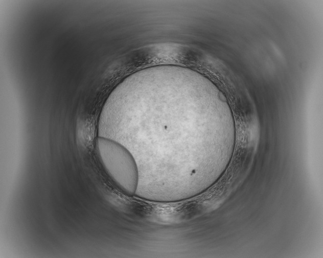 X0000116640701200912211003