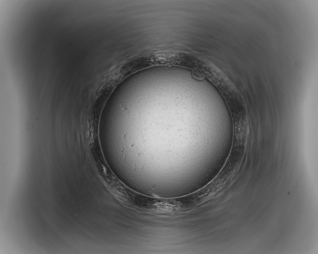 X0000116640703200912211003