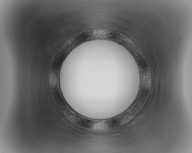 X0000116640705200912211003