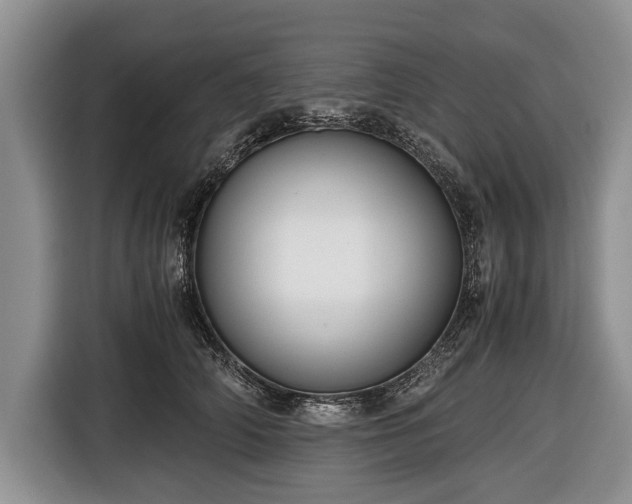 X0000116640706200912211003