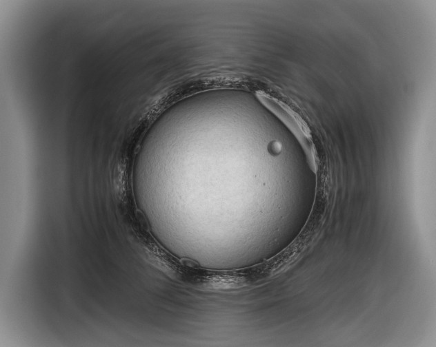 X0000116640708200912211003