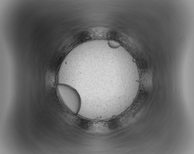 X0000116640709200912211003