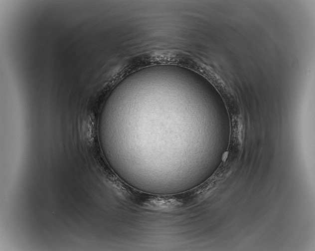 X0000116640712200912211003