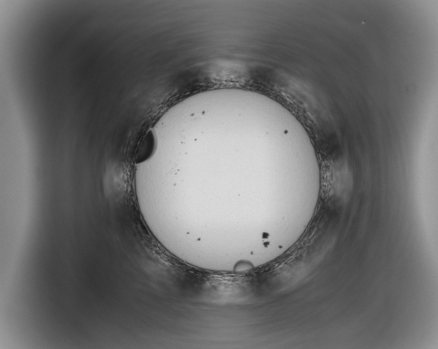 X0000116640713200912211003