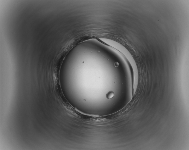 X0000116640716200912211003