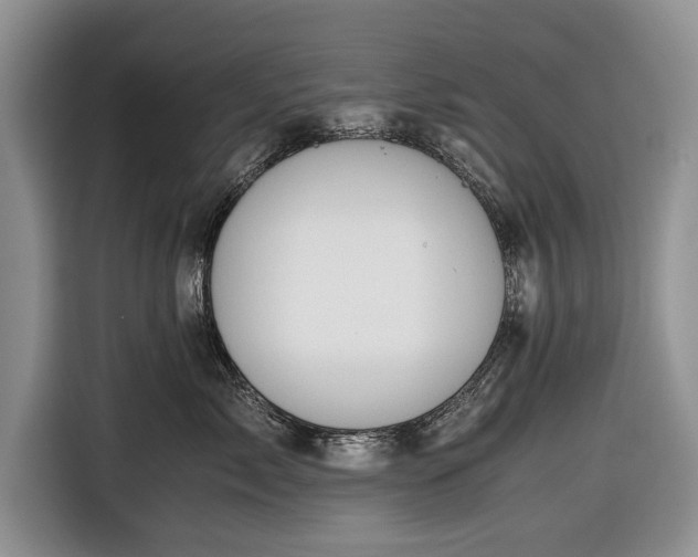 X0000116640717200912211003