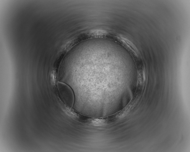 X0000116640718200912211003