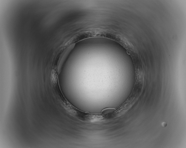 X0000116640719200912211003