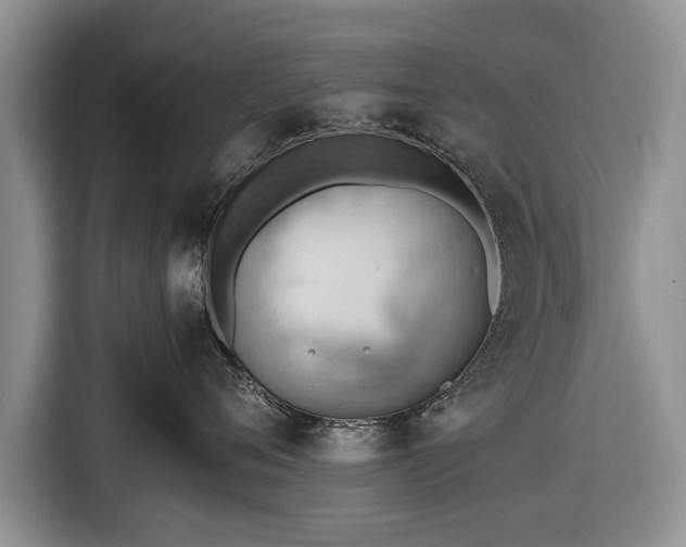 X0000116640720200912211003