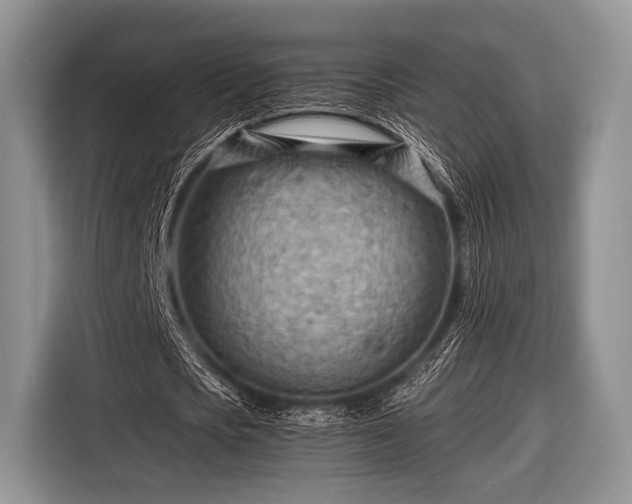 X0000116640721200912211002