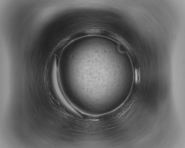 X0000116640723200912211002