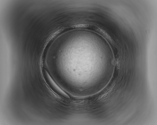 X0000116640725200912211002