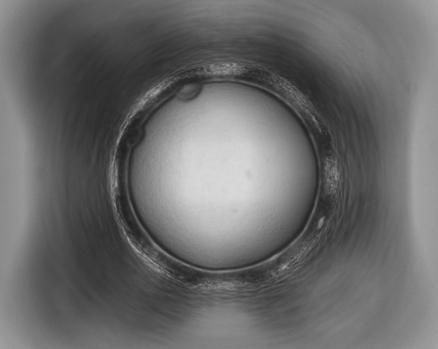 X0000116640726200912211002