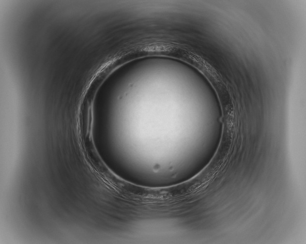 X0000116640727200912211002