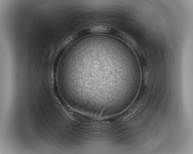 X0000116640729200912211002