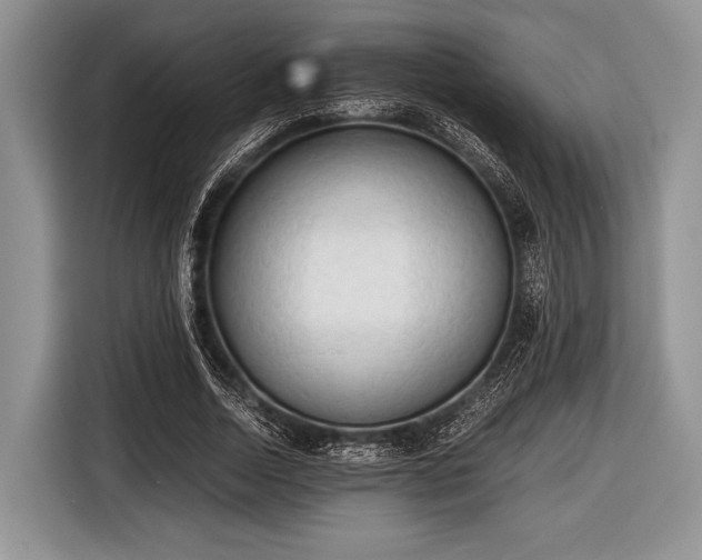 X0000116640730200912211002