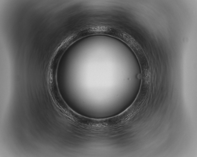 X0000116640731200912211002