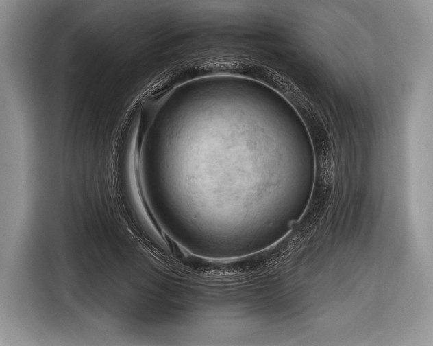 X0000116640735200912211002