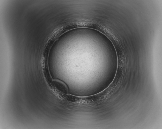 X0000116640738200912211002