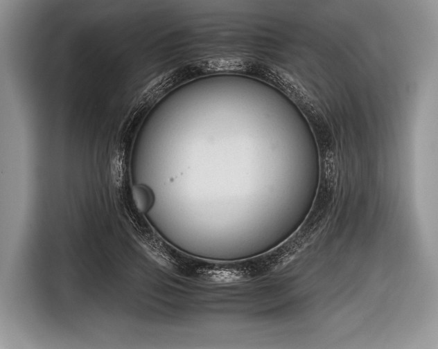 X0000116640741200912211002