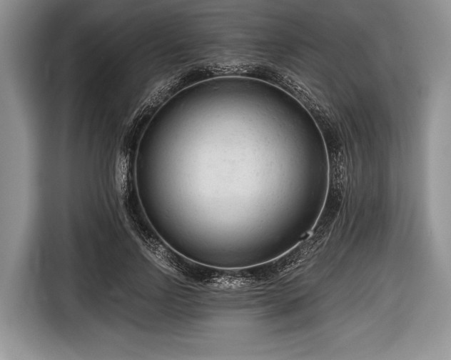 X0000116640742200912211002