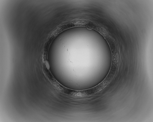 X0000116640755200912211002