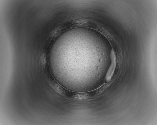 X0000116640758200912211002