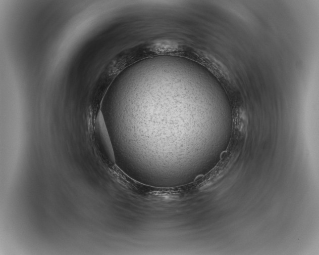 X0000116640763200912211002