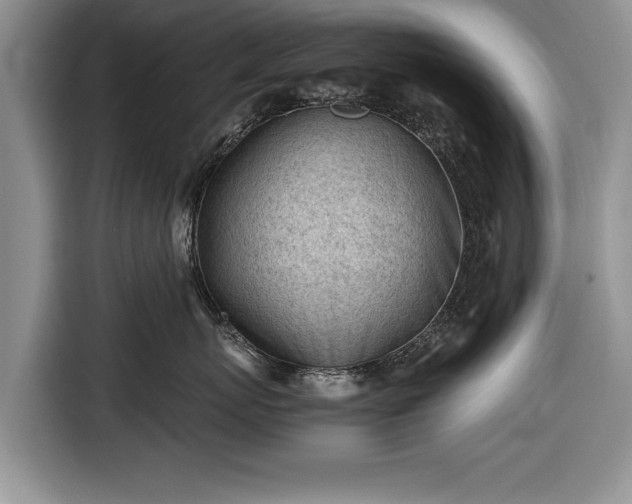 X0000116640767200912211003