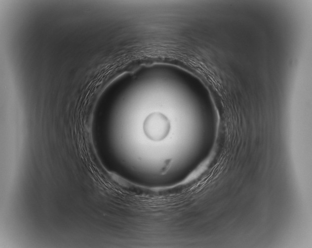 X0000116640769200912211002