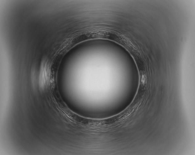 X0000116640771200912211002