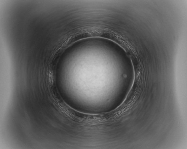 X0000116640772200912211002