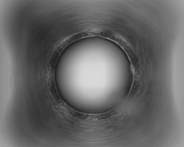 X0000116640773200912211002