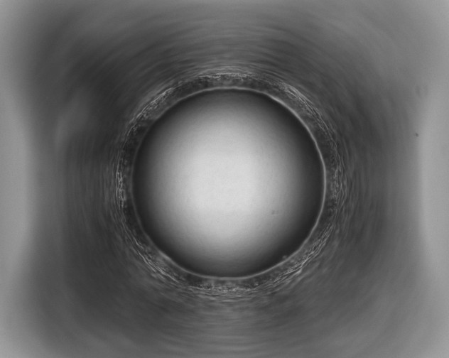 X0000116640774200912211002