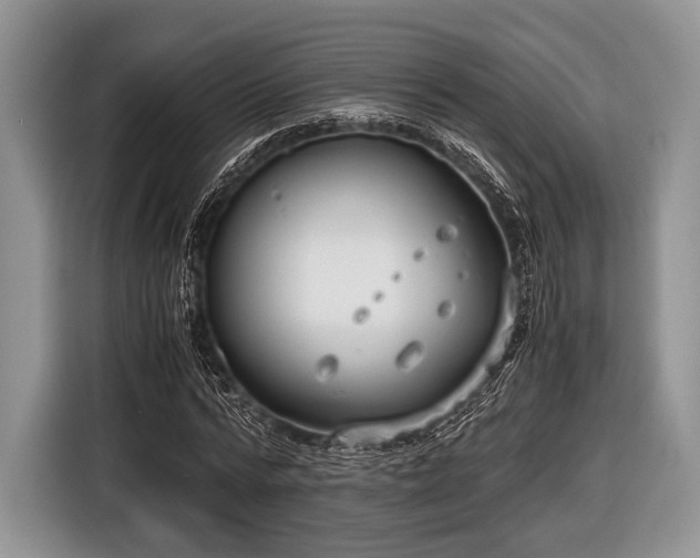 X0000116640776200912211002