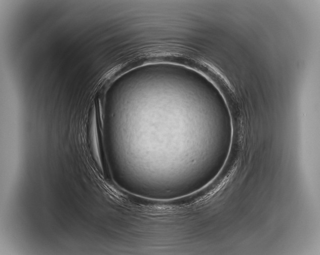 X0000116640777200912211002