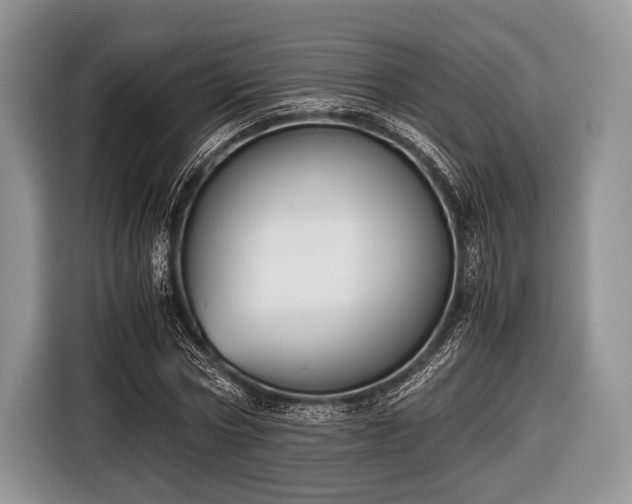 X0000116640778200912211002