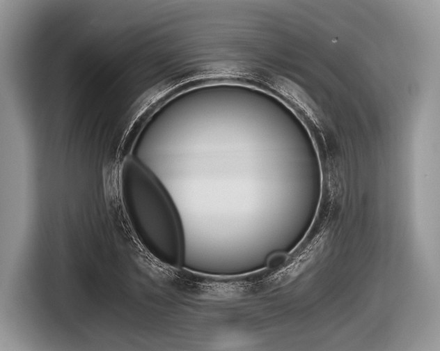 X0000116640781200912211002