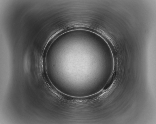 X0000116640782200912211002